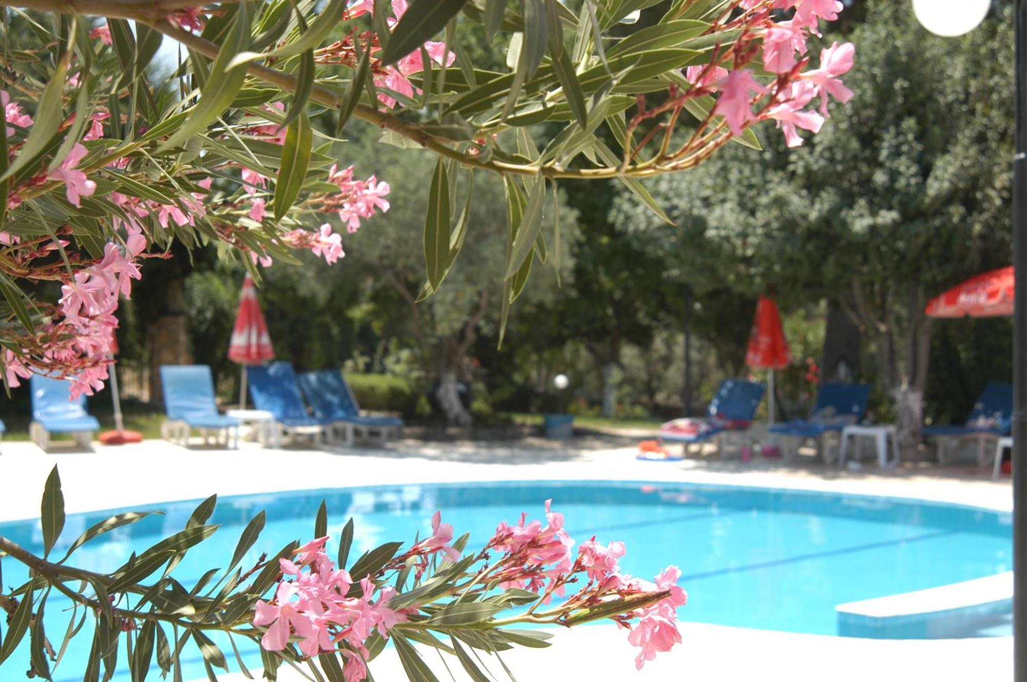 Gokcen Apartments أولدينيس المظهر الخارجي الصورة